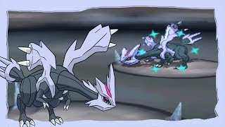 LIVE Shiny Kyurem in Black 2 after 8892 SRs 5K sub special [upl. by Anoiuq423]