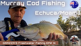 Murray Cod Fishing Echuca Moama Australia Day Weekend 2022  Grazzas Freshwater Fishing EP14 [upl. by Maiga684]