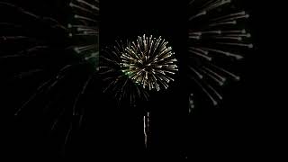 RV Park Fireworks 2024 fulltimerv fireworks rvpark short USA independenceday 4thofjuly [upl. by Shelah]