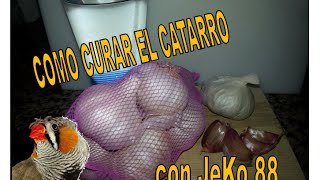 COMO CURAR CATARRO [upl. by Artenal163]