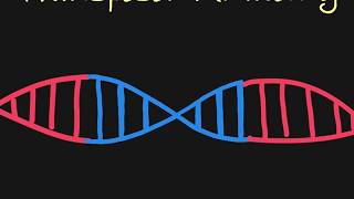 Introduction to Transposons [upl. by Yci]