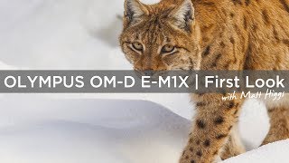 Olympus OMD EM1X  First Look and Hands On Wildlife in the Bavarian National Park [upl. by Perseus760]