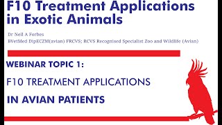 F10 Treatment applications in Avian patients [upl. by Nodnil]