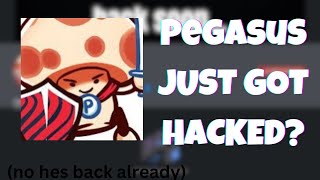 HUGE Commentary Youtuber Pegasus gigasus77 just got HACKED [upl. by Rizan701]