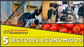 Los 5 sectores económicos Economía Ejemplos y características [upl. by Ettennek89]