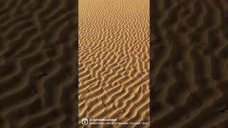 The Imperial Sand Dunes Algodones Dunes in California are a colossal expanse of dunes [upl. by Willetta]