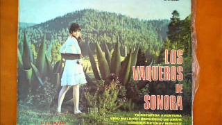 LOS VAQUEROS DE SONORA  CLEMENCIA DE AMOR [upl. by Lemal]