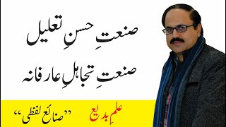 Sanat e Husn e Taleel  Sanat e Tajahul e Arifana  صنعتِ حسنِ تعلیل  صنعتِ تجاہلِ عارفانہ [upl. by Atiken]