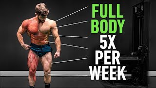 Full Body 5x Per Week Why High Frequency Training Is So Effective [upl. by Adialeda]