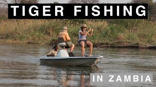 Our first full day of TIGER FISHING at Sekoma Island Lodge on the Zambezi  39 [upl. by Tierell]