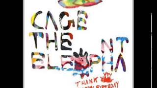 Cage The Elephant  Shake Me Down Lyricsletras [upl. by Namaj]