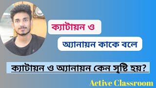 ক্যাটায়ন কাকে বলে  অ্যানায়ন কাকে বলে ক্যাটায়ন ও অ্যানায়ন কিভাবে তৈরি হয় Cation and Anion [upl. by Catima665]