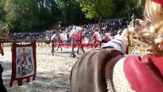 Time lapse des drapeaux de lUnion Européenne [upl. by Ialokin]