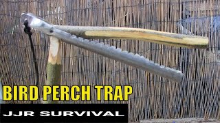 Perch Bird Trap [upl. by Angelika40]