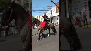 Desfile Farroupilha de 2017 Desfile cavalariano com surpresas Olha a gaLENHA [upl. by Ayam]