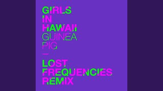 Guinea Pig Lost Frequencies Remix [upl. by Dlanor502]