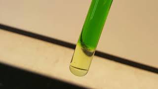 Isolation of chlorophyll and carotenoid pigments from spinach [upl. by Lib]