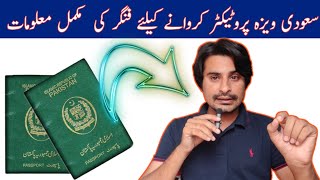 Visa Protector Process In Pakistan 31July2023  Passport Protector  Visa Protector Kya Hota Hai [upl. by Beard761]