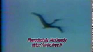 Paul MacCready pterosaur Quetzalcoatlus Northropi QN RC ornithopter [upl. by Celeski]