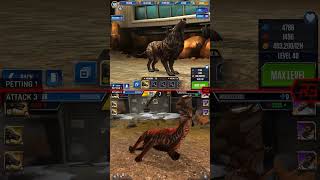 HYAENODON ALL EVOLUTION amp HYAENODON ALL ANIMATION  Jurassic World The Game [upl. by Zachary919]