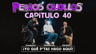 PERROS CRIOLLOS  YO QUÉ PUT455 HAGO AQUÍ CAP 40 [upl. by Richter490]