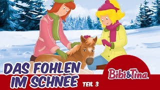 Bibi amp Tina  Das Fohlen im Schnee Hörbuch  33 Minuten ADVENTSKALENDER zum Hören  18 Türchen [upl. by Adnamar]