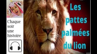 LES PATTES PALMEES DU LION Conte Pour Enfant audiobook lion patte roi animaux [upl. by Pears]