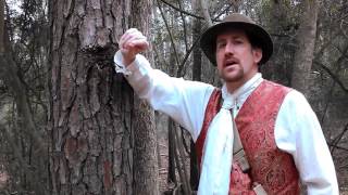 Foraging Wild Edible Plants with Mark quotMerriwetherquot Vorderbruggen [upl. by Seidel862]