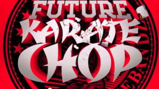 Future Ft Lil wayne  Karate Chop LyricsRemix [upl. by Joo]