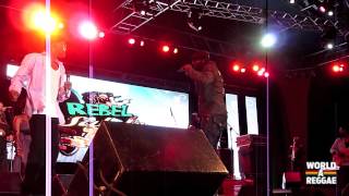 Beres Hammond Live  Rebel Salute 2013  Jamaica [upl. by Ha]