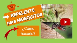 Cómo hacer un REPELENTE para MOSQUITOS 【Casero】 [upl. by Ateiram]