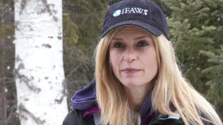 IFAW seal program director Sheryl Fink on seal products [upl. by Ajaj423]