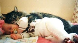 Cats and babies cuddling – Cute cat and baby compilation [upl. by Lorilee72]