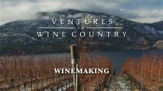 Ventures in Wine Country  Episode 4 Winemaking [upl. by Adnawuj]