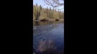 Algonquin Provincial Park and Madawaska ontario fishing [upl. by Reinhart12]