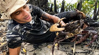 CAPTURANDO E COMENDO CARANGUEJO NO MANGUE  Crab Trap [upl. by Pinzler]