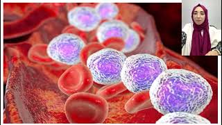 Acute Lymphoblastic Leukemia ALL Cell Identification imageprocessing phyton [upl. by Ennayelhsa]