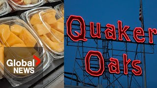 Science behind salmonella Quaker Oats latest company to recall products over contamination fears [upl. by Kciremed]