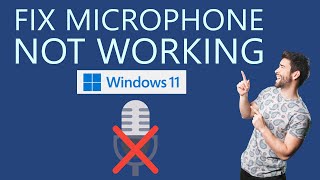 How to Fix Microphone Not Working on Windows 11 [upl. by Aiuqat]