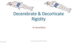 Decrebrate amp Decorticate Rigidity [upl. by Enovahs]