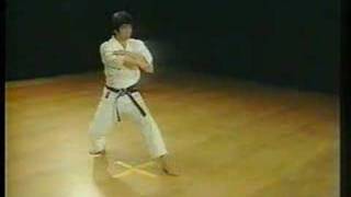 Nijushiho  Shotokan Karate [upl. by Nabal]