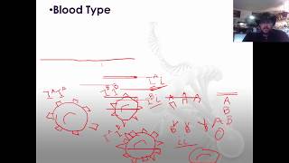 Fall 2017 Bio 1080 Remaining Chapter 14 Slides Recessive Disorders  Multifactorial Inheritance [upl. by Cello71]