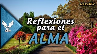 Frases y Reflexiones para el Alma ¦¦ Inspiración y Empoderamiento [upl. by Blank652]