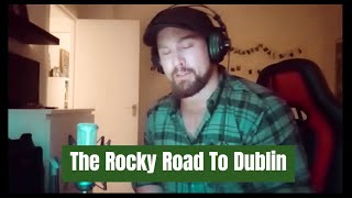 The Rocky Road To Dublin  Irish Traditional  Slip Jig [upl. by Huba]