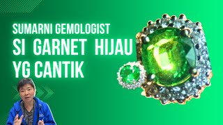 MENGENAL TSAVORITE GARNET HIJAU [upl. by Assyral]