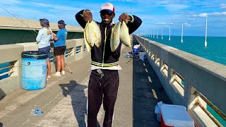 Yellow Jack MUTTON SNAPPER FISHING the BEST Bridge in the Florida Keys LONG KEY PART 5 of 6 [upl. by Hgiellek]