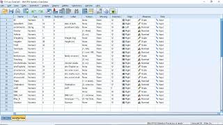 SPSS Data entry and management amp Descriptive statistics III [upl. by Names163]