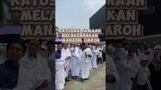 Momen ratusan jamaah melaksanakan manasik umroh manasik umroh kaabah jamaah [upl. by Nnanaej668]