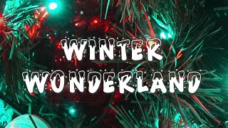 Winter Wonderland  Snopp Dogg and Anna Kendrick Lyrics [upl. by Feilak]