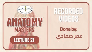 Anatomy Masters 2023 batch  L21 Embryologythird week  By عمر الصمادي [upl. by Garett]